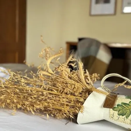 Affittacamere Venta Celta 3*