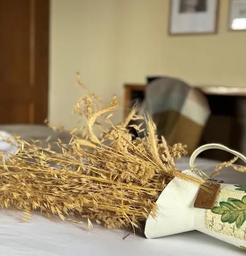 Penzion Venta Celta 3*