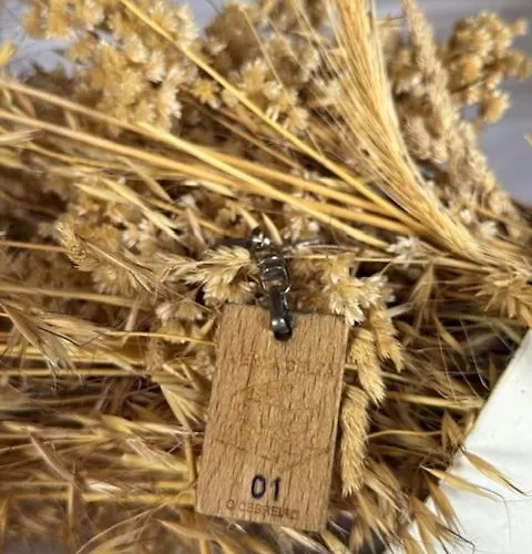 Penzion Venta Celta 3*